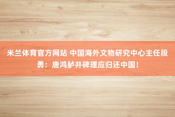 米兰体育官方网站 中国海外文物研究中心主任段勇：唐鸿胪井碑理应归还中国！