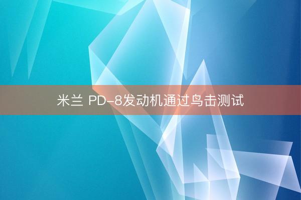 米兰 PD-8发动机通过鸟击测试