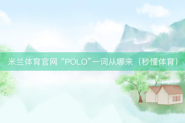 米兰体育官网 “POLO”一词从哪来（秒懂体育）