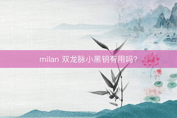 milan 双龙脉小黑钥有用吗？