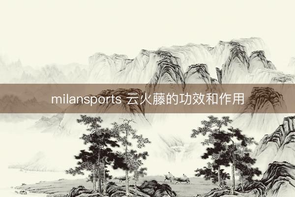 milansports 云火藤的功效和作用